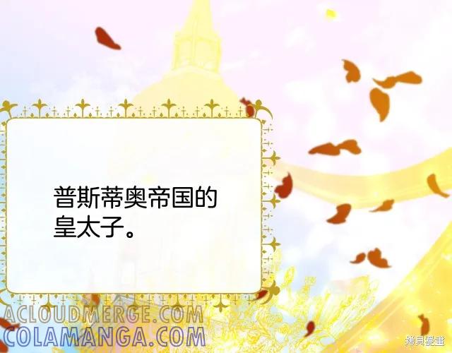 《明明是冷美人小姐却变成了忠犬大少爷》第15话 第105页