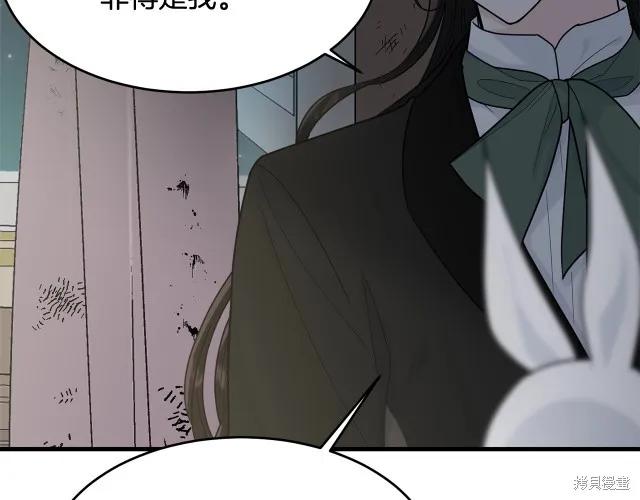 《明明是冷美人小姐却变成了忠犬大少爷》第17话 第163页