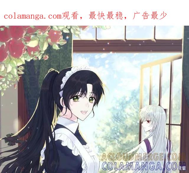 《明明是冷美人小姐却变成了忠犬大少爷》第17话 第1页