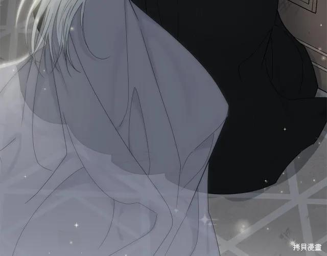 《明明是冷美人小姐却变成了忠犬大少爷》第17话 第196页