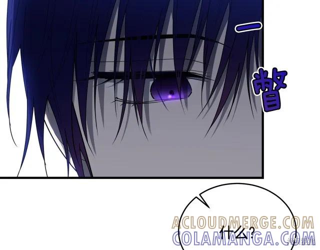 《明明是冷美人小姐却变成了忠犬大少爷》第19话 第45页
