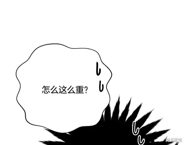 《明明是冷美人小姐却变成了忠犬大少爷》第19话 第32页