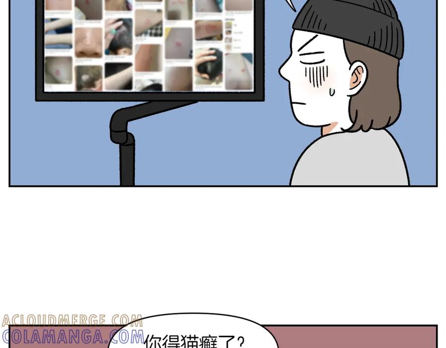 《我的狗子叫棉花》第52话 被传染猫癣 第22页