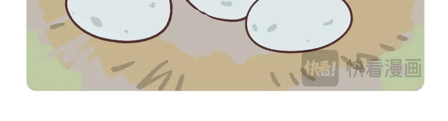《胖达x胖达》第267话 第6页