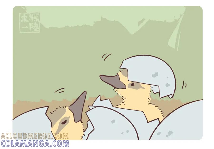 《胖达x胖达》第267话 第9页