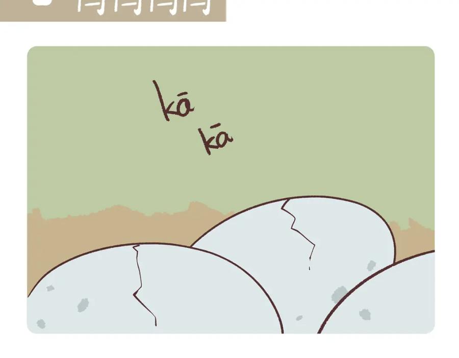 《胖达x胖达》第267话 第8页