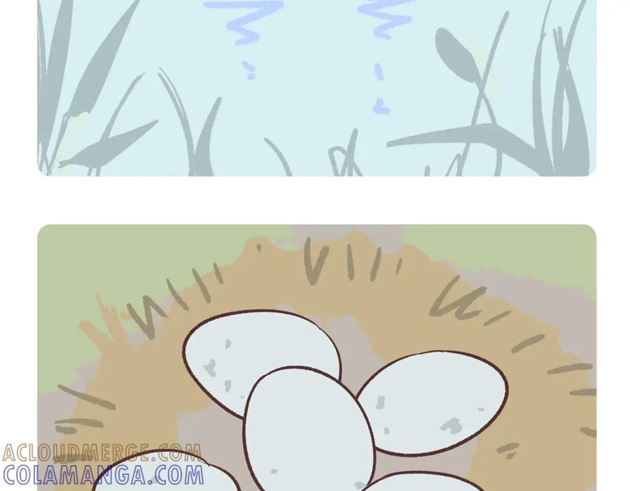 《胖达x胖达》第267话 第5页