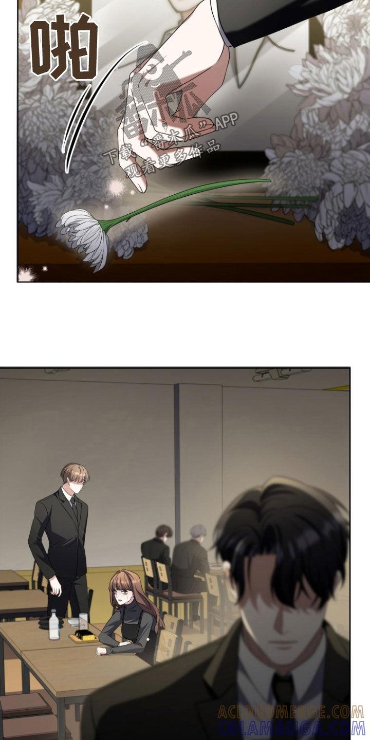 《双重血脉》第34章：更好奇了 第19页