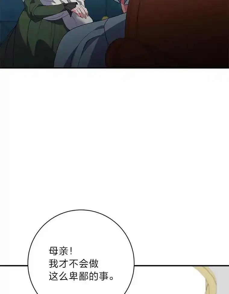 公爵夫人的秘密执笔 62.贵族的压力 第28页
