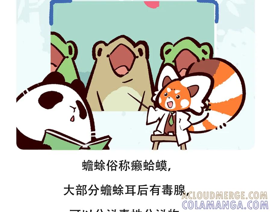 《胖达x胖达》第86话 第27页