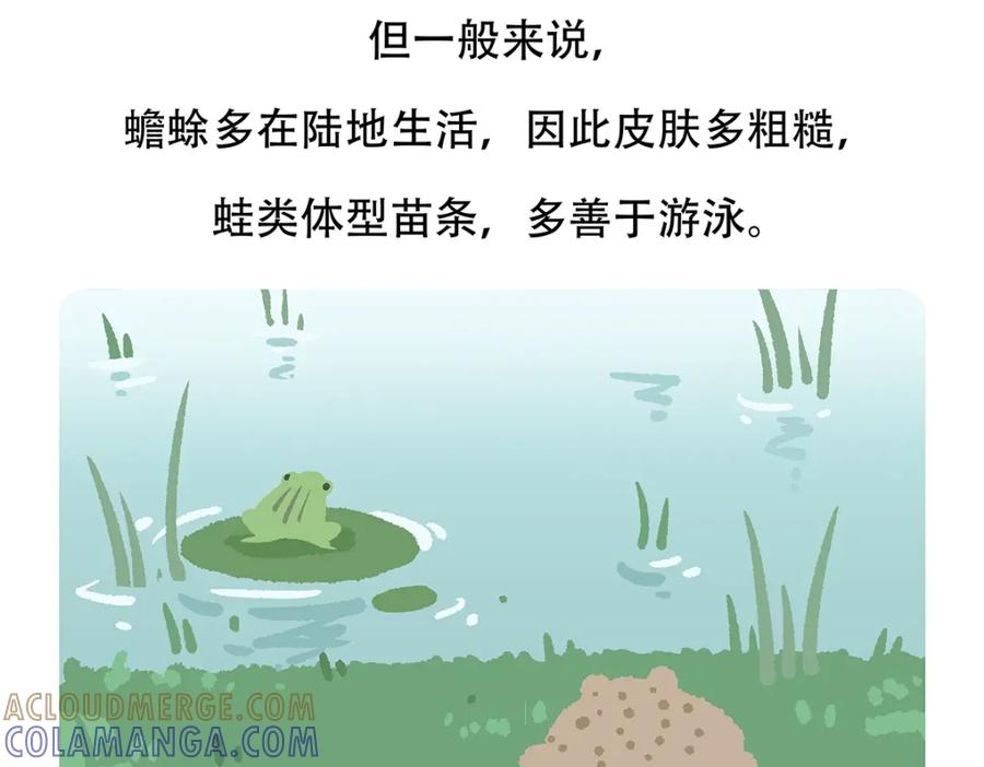 《胖达x胖达》第86话 第29页