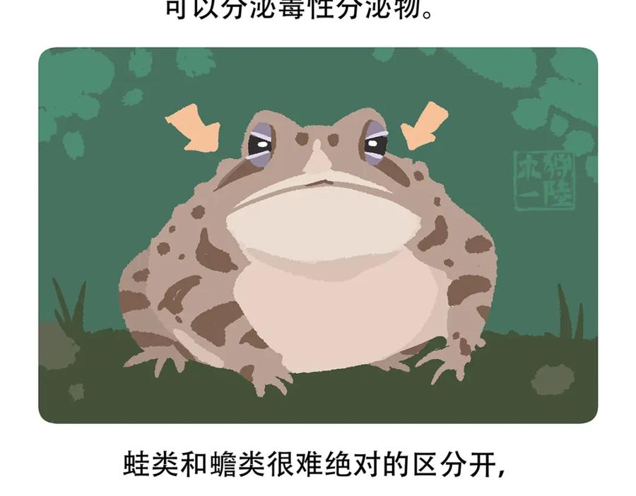 《胖达x胖达》第86话 第28页
