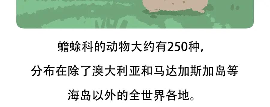 《胖达x胖达》第86话 第30页