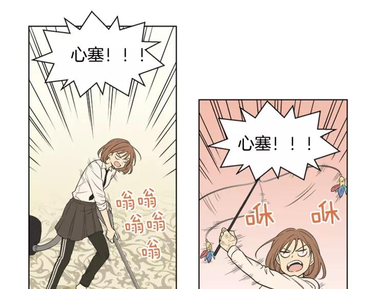 《不能恋爱的房间》第77话 谁规定的百年好合 第17页