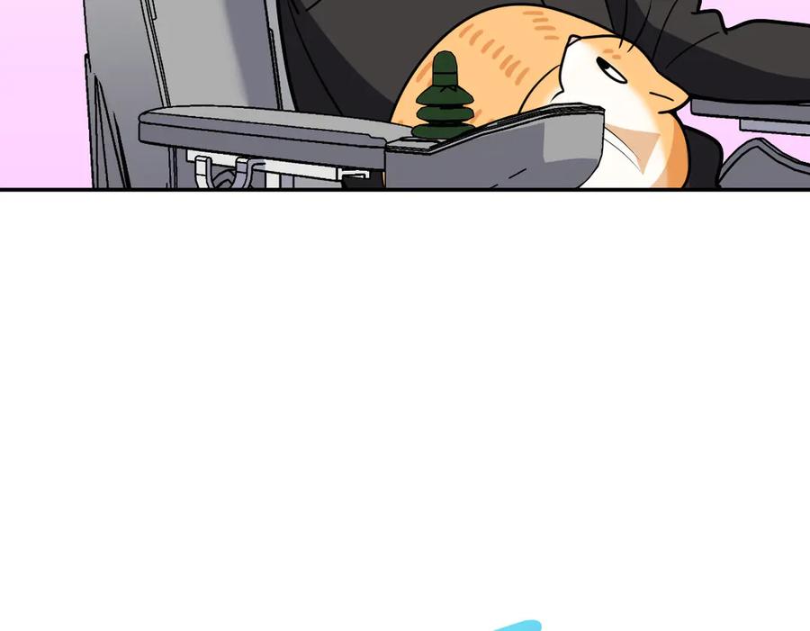 152.jpg