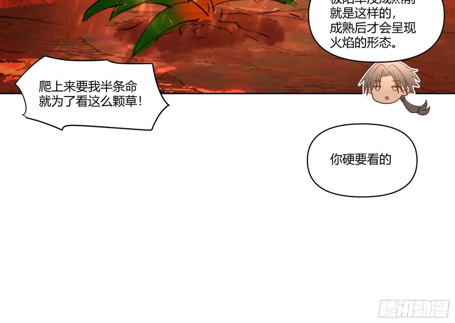 修仙女配拒绝炮灰剧本 - 火焰山行 - 第14张图