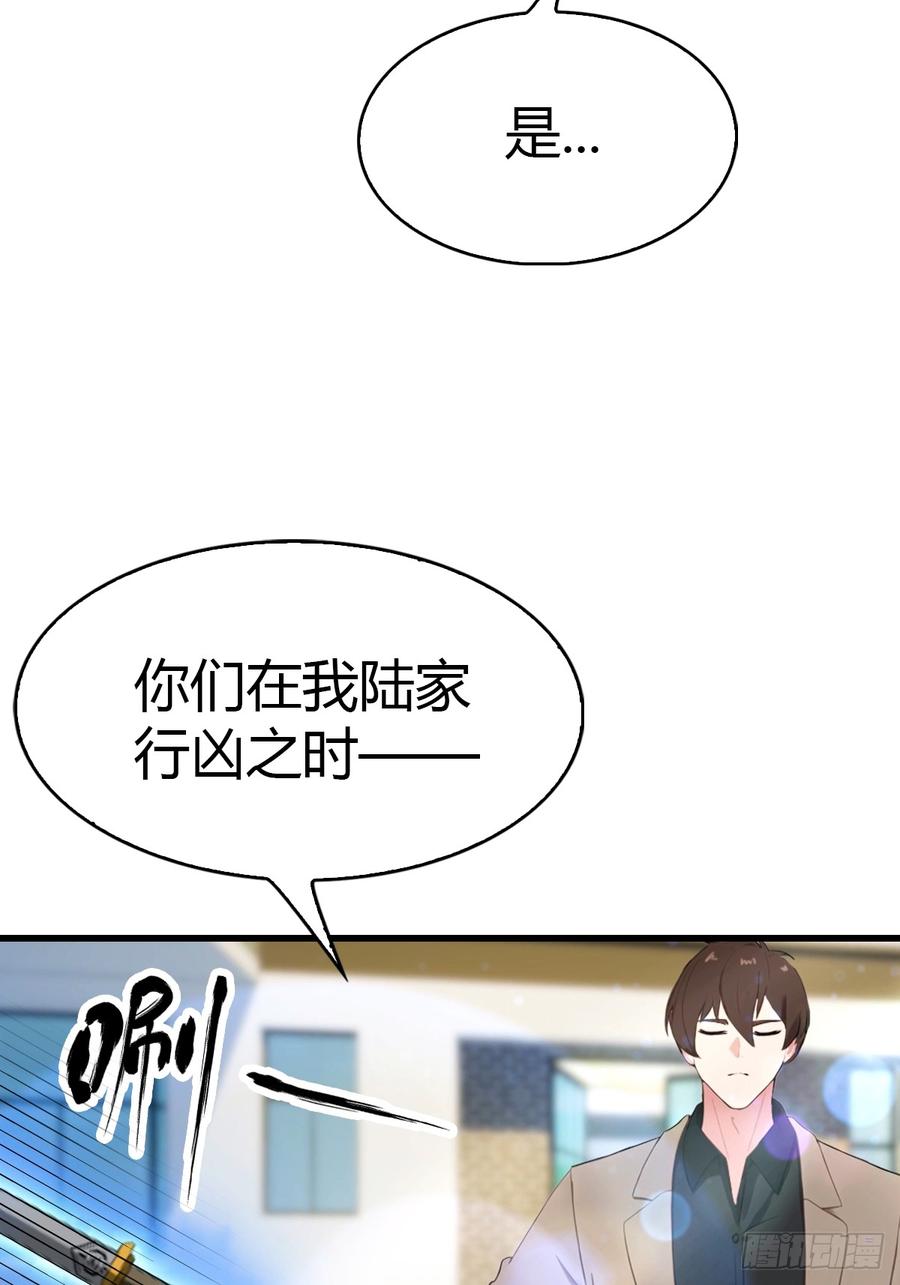 《都市圣手：我即医武巅峰》第51话 陆家秘宝 第12页