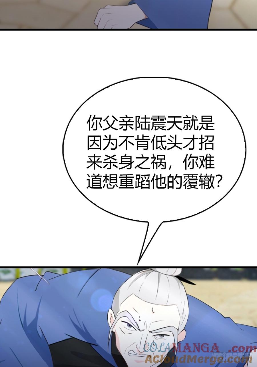 《都市圣手：我即医武巅峰》第51话 陆家秘宝 第29页
