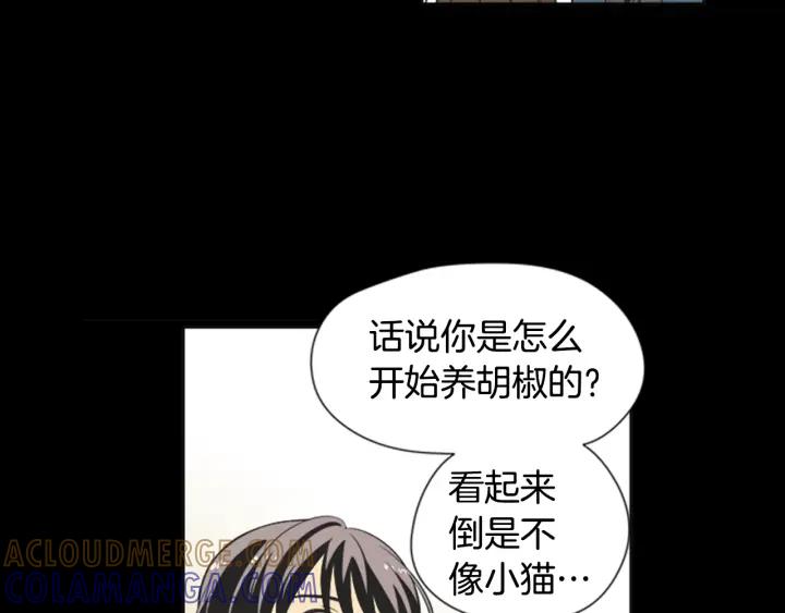 《不能恋爱的房间》第61话 土豪养猫法 第58页