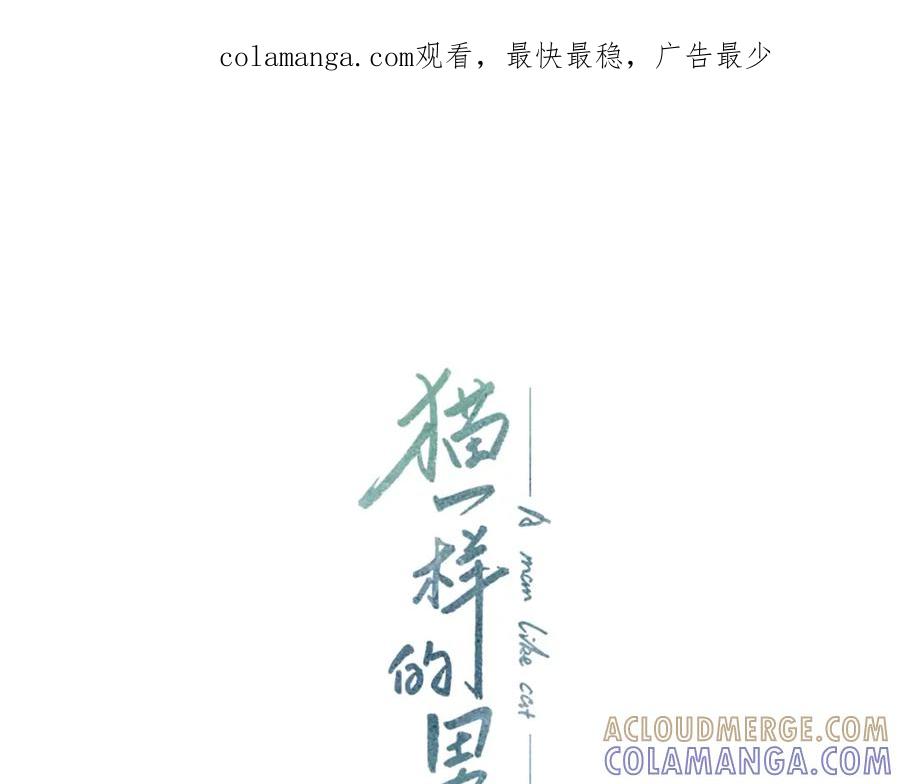 猫一样的男人 第70话 你来接我吧 第1页