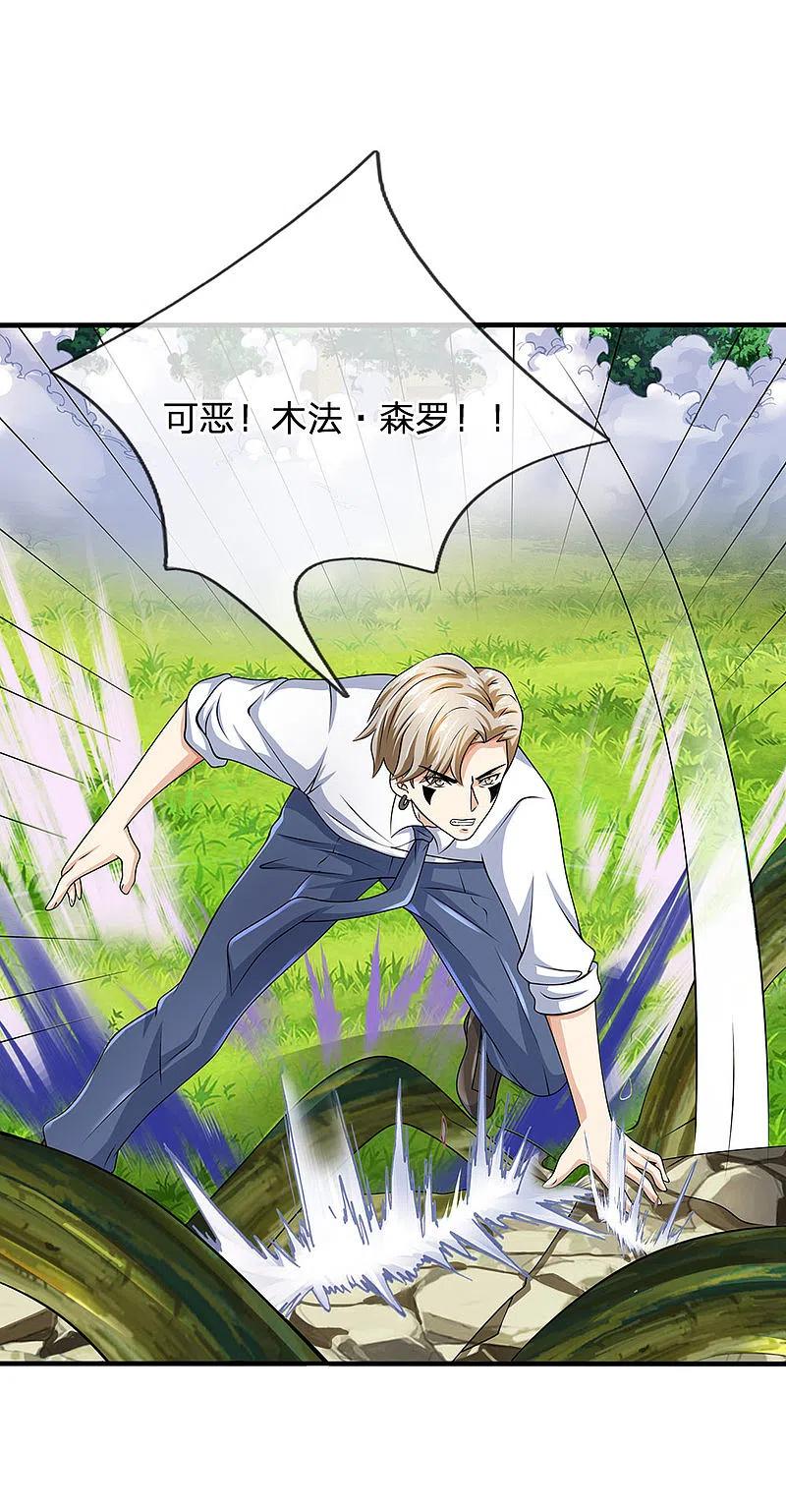 都市之逆天仙尊 第102话 玩够了没 第12页