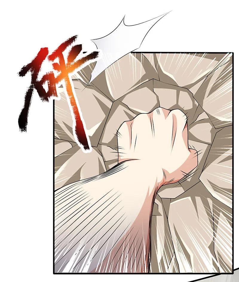 都市之逆天仙尊 第104话 此人得罪不起 第12页
