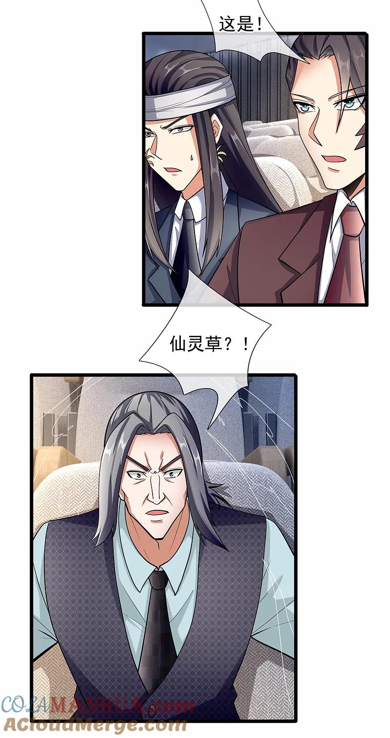 都市之逆天仙尊 第184话 一网打尽 第21页