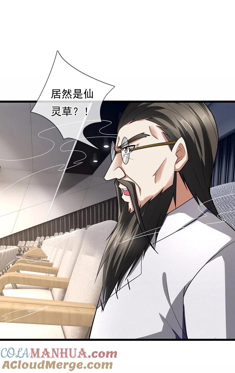 都市之逆天仙尊 第185话 神秘遗迹，大有机缘 第3页