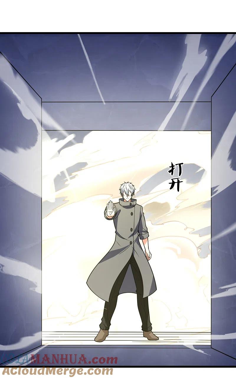 都市之逆天仙尊 第201话 送你个大宝贝 第21页