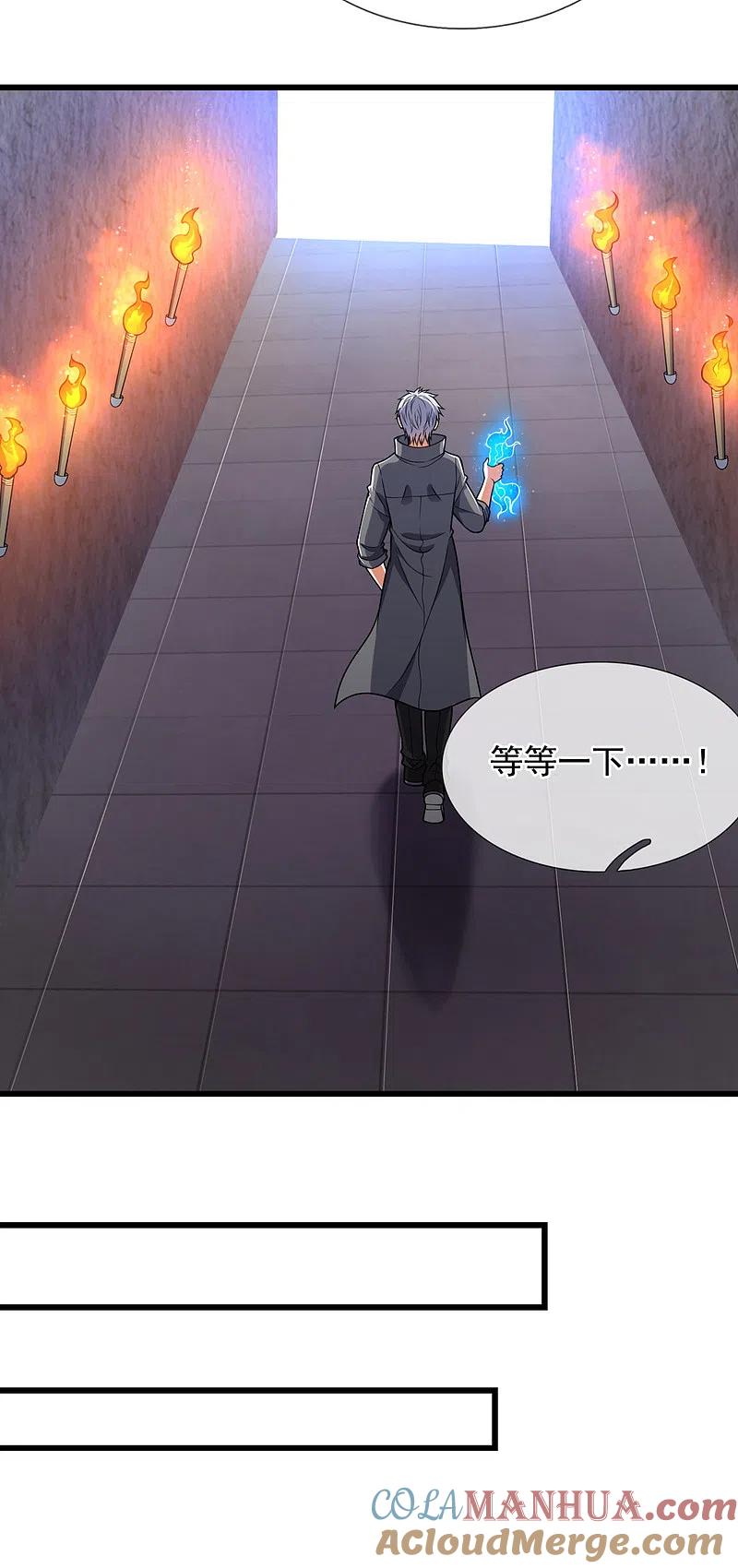 都市之逆天仙尊 第202话 灵魂碎片 第9页