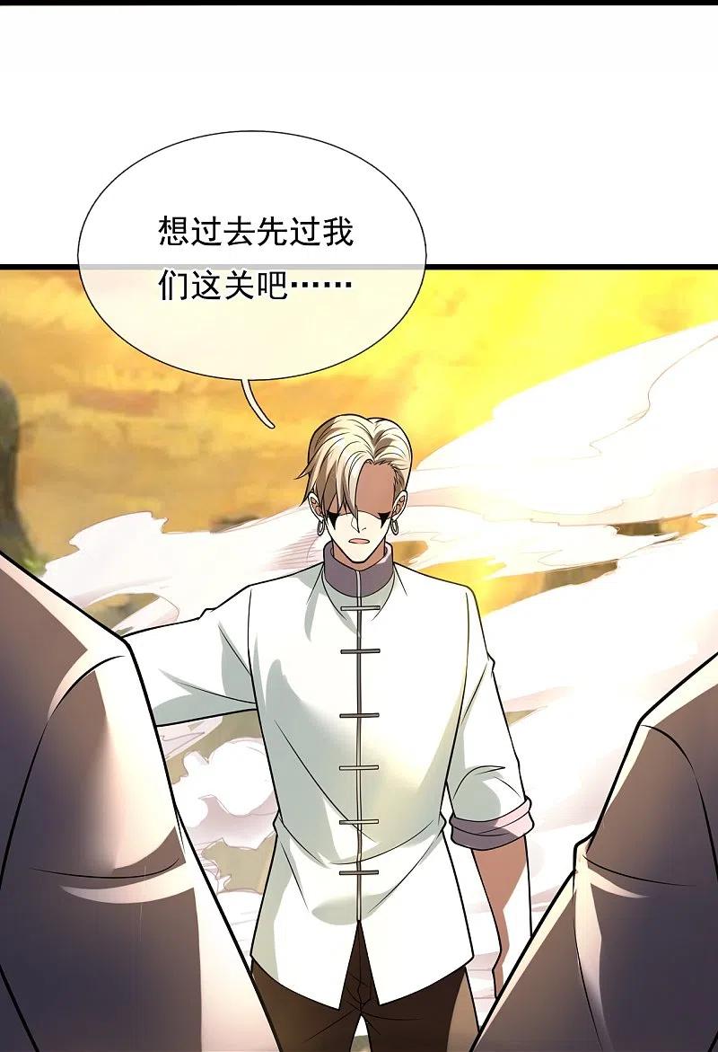 都市之逆天仙尊 第223话 华夏的反击 第20页