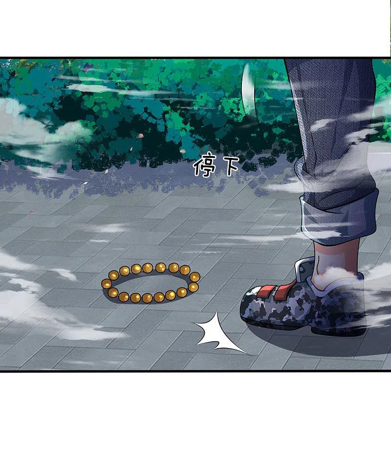 都市之逆天仙尊 第32话 得到法器 第4页