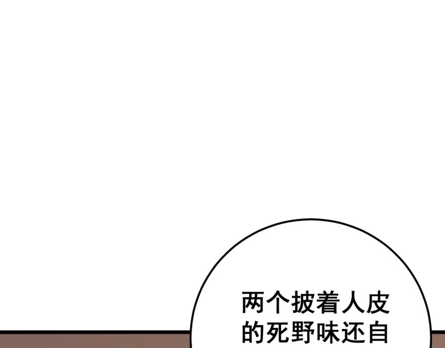95.jpg