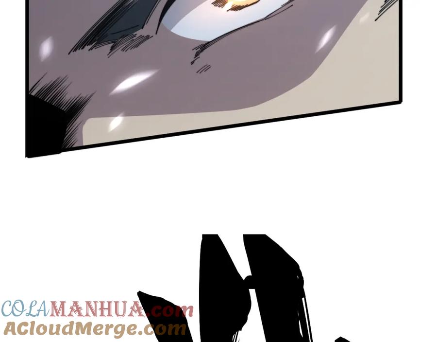 141.jpg