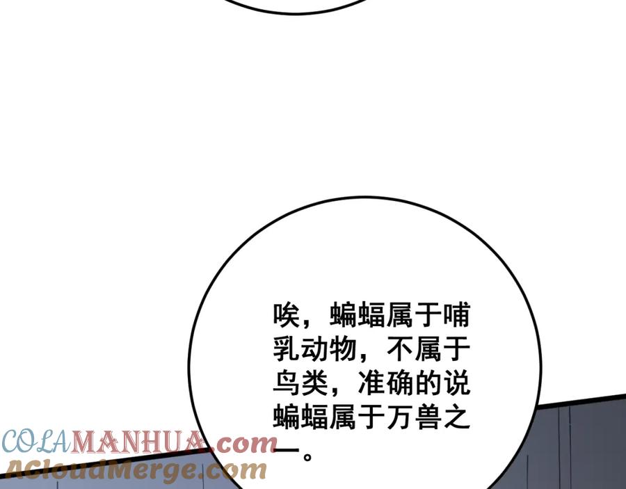 113.jpg