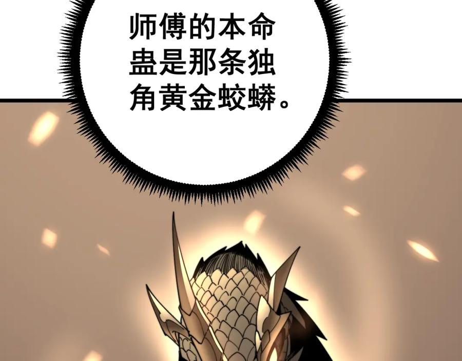 146.jpg