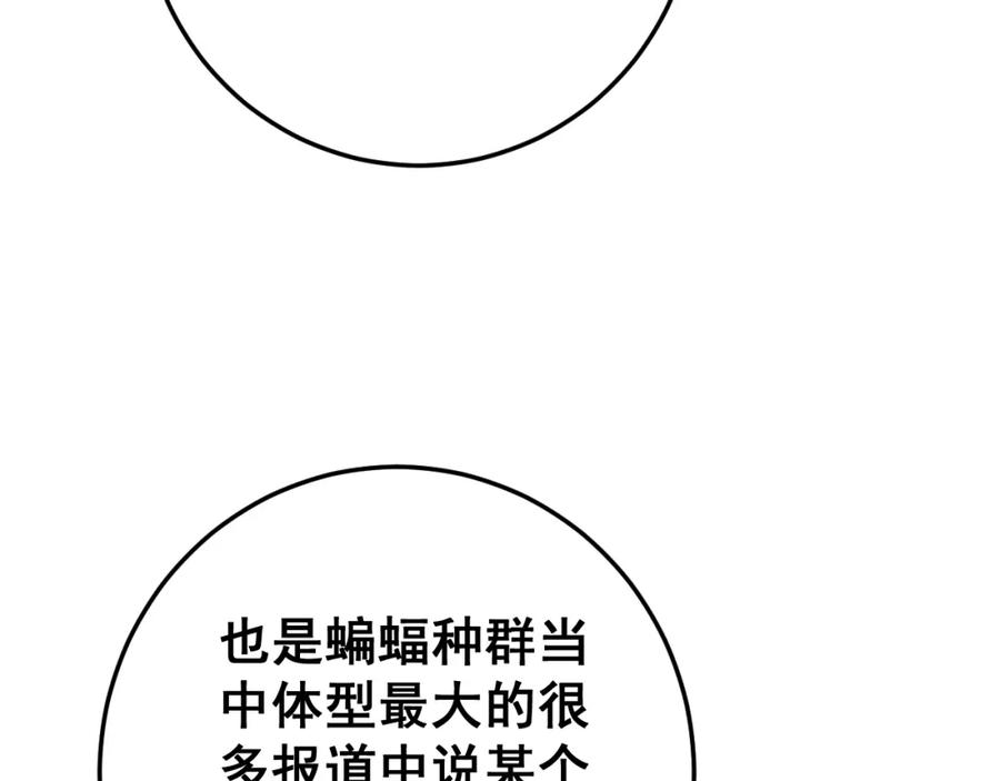 116.jpg