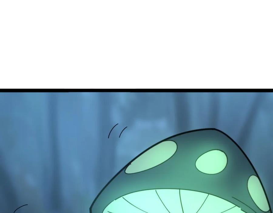 155.jpg