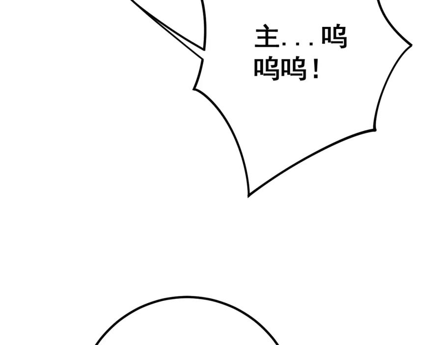 102.jpg