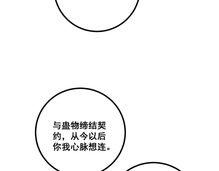 146.jpg