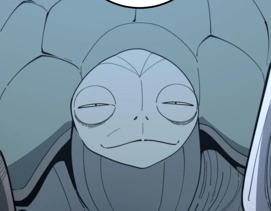 147.jpg