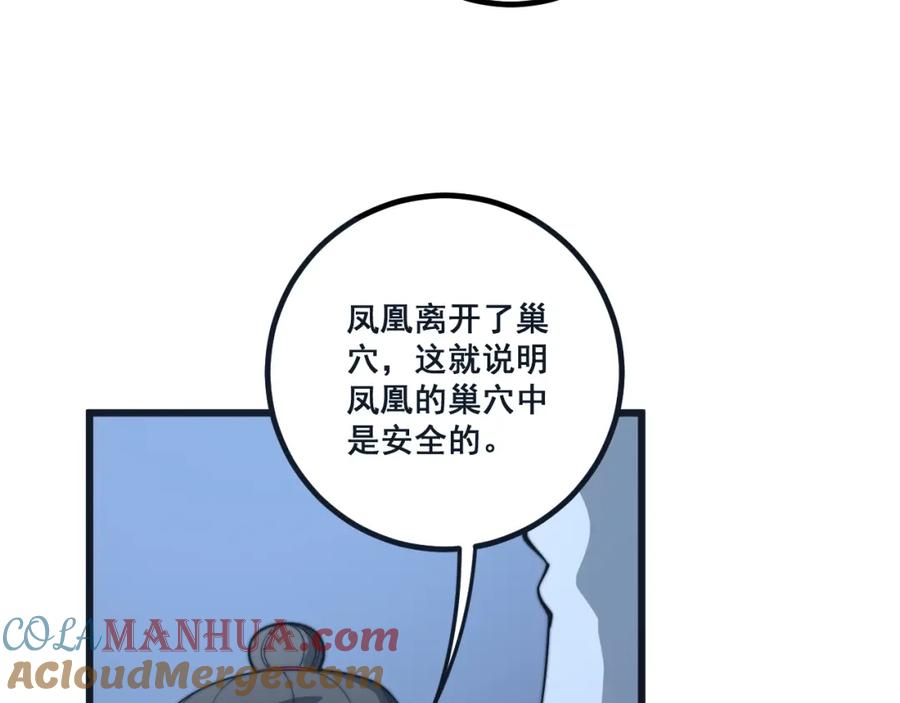 113.jpg