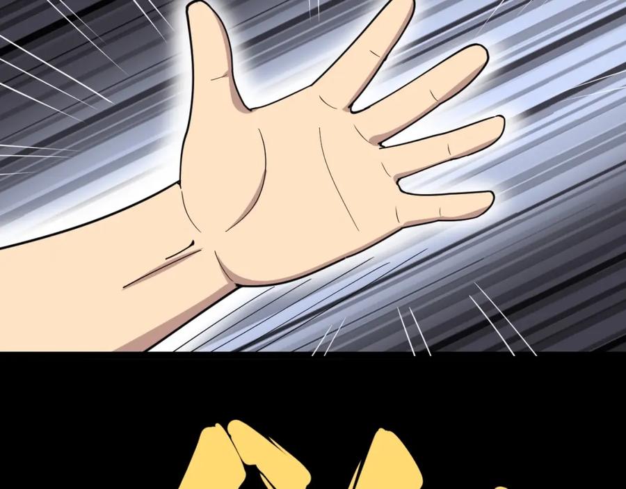 231.jpg