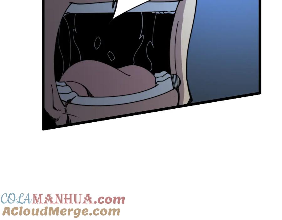 117.jpg