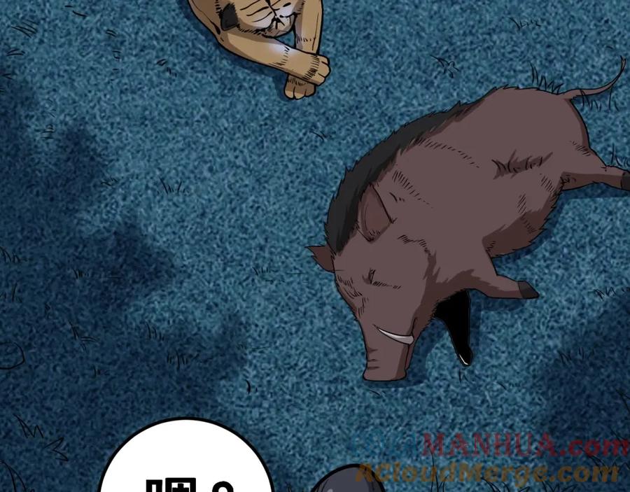 25.jpg