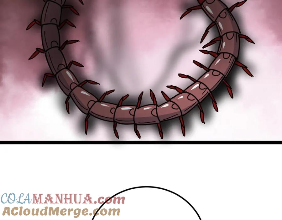 113.jpg