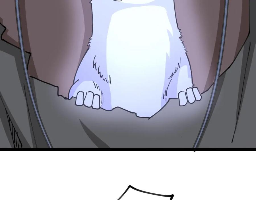 63.jpg