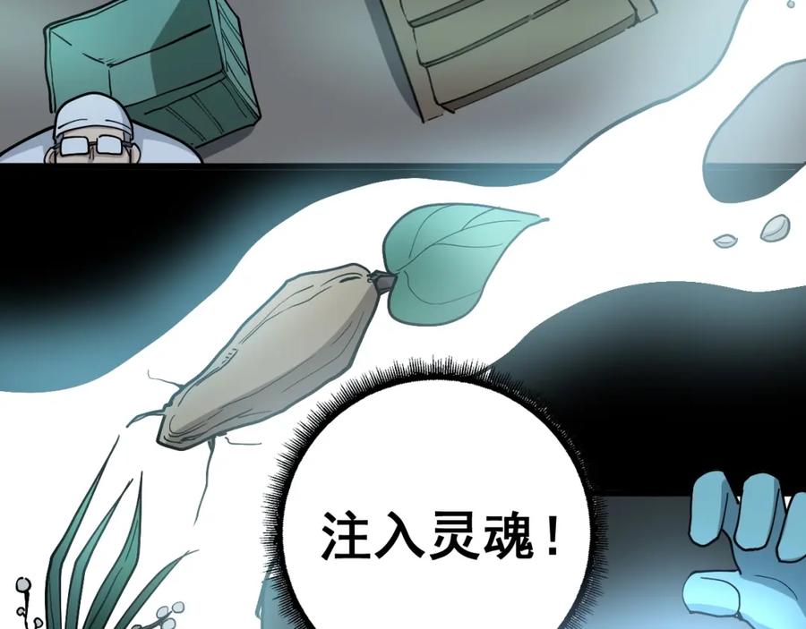 48.jpg