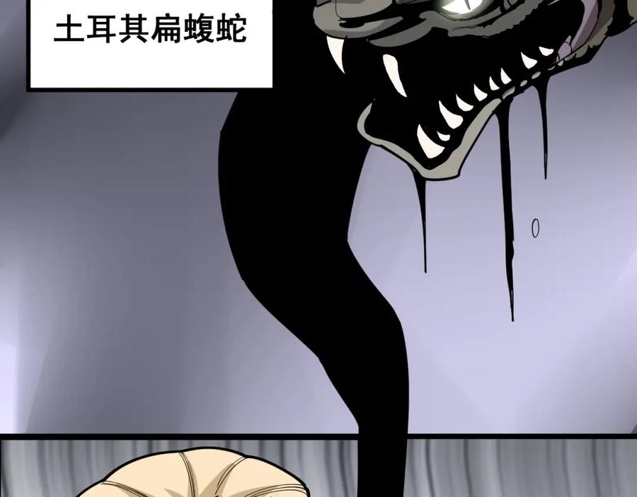 103.jpg