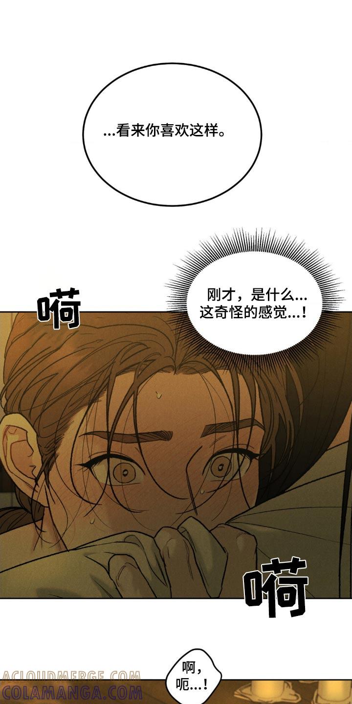 《沉迷其中》第157章：【番外】不用勉强 第13页